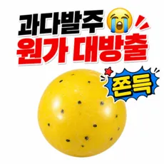 말랑숲 샤베트 말랑이 슬랑이, 1개, 140g, 골드키위