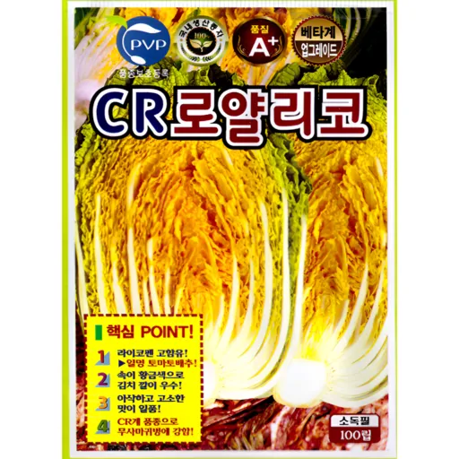 CR로얄리코배추 김장 종자 100립 황금 배추 라이코펜 베타카로틴 고함유 배추 씨앗 텃밭용 ks