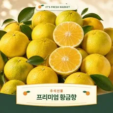 제주 프리미엄 고당도 황금향 추석선물세트 추석선물, 1개, 2kg