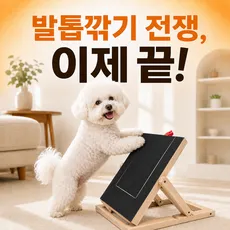 런앤온 반려동물 노즈워크 2세대 각도조절 발톱 스크래쳐+리필패드 2매 세트, 본품+리필패드2매, 1세트