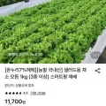 국내산 유러피안 모둠 샐러드용 채소 모듬채소 쌈채소, 1kg,