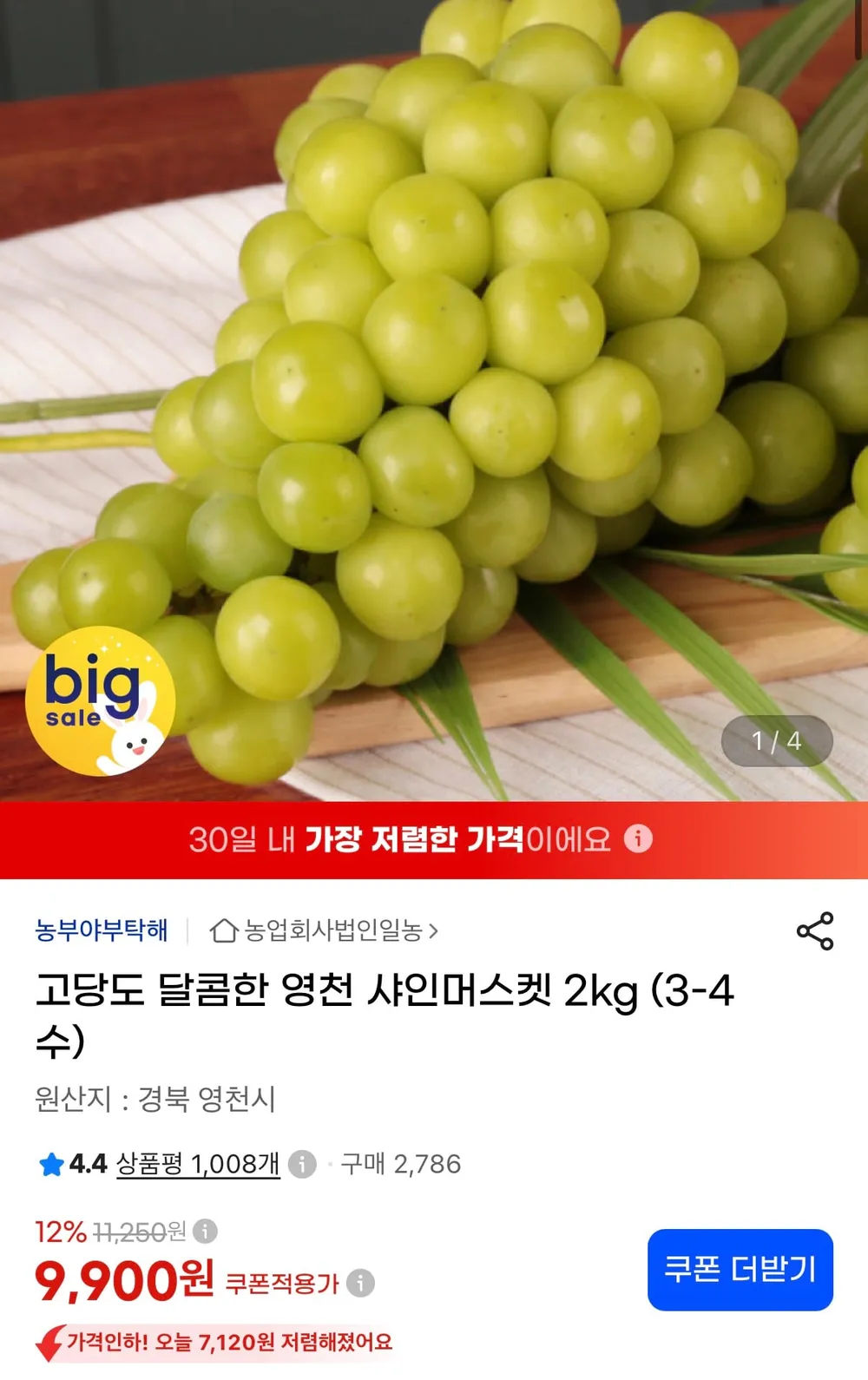 경북 영천 고당도 샤인머스켓 포도 2kg