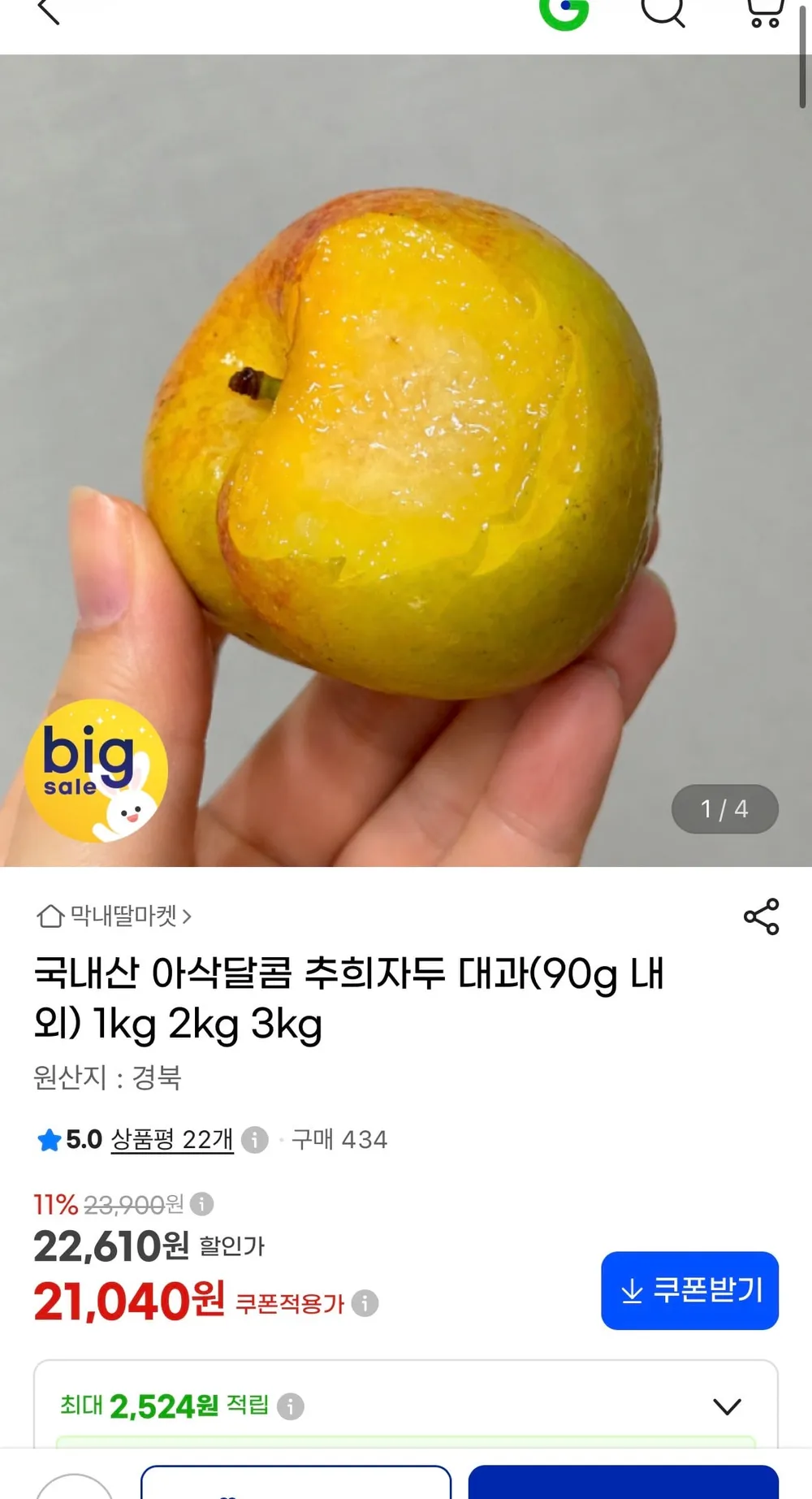 [백화점납품용] 26년마지막 제철과일 고당도 추희자두