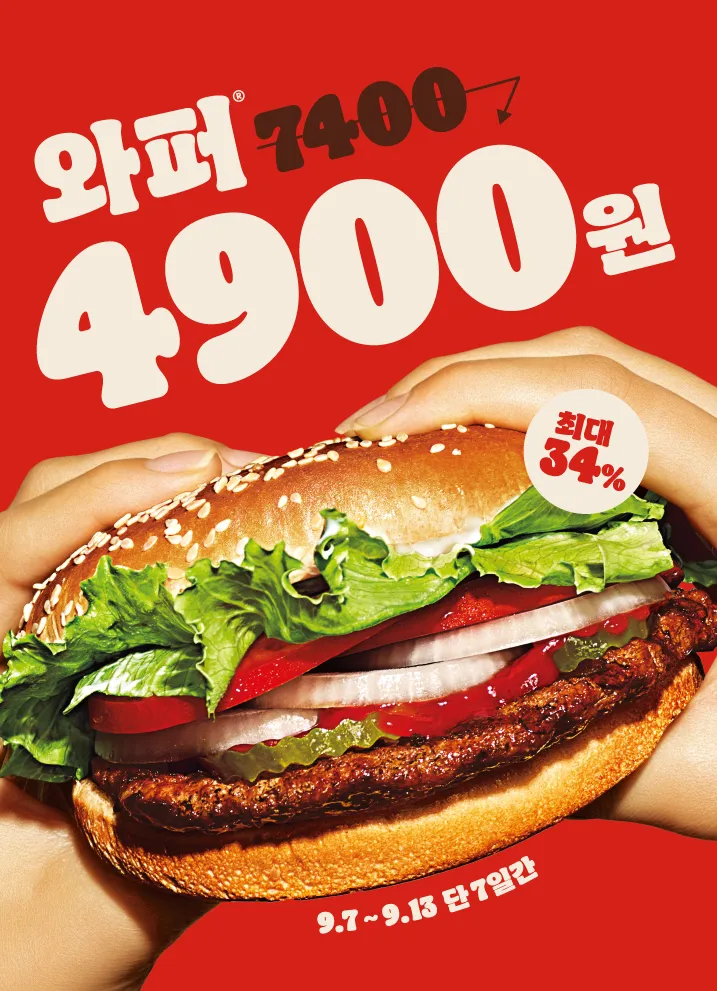 베프코 홋카이도 치즈 센베 51g x 3개(중량변경), 3개, 54g
