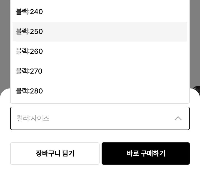 츄바스코 콘차 플립플랍