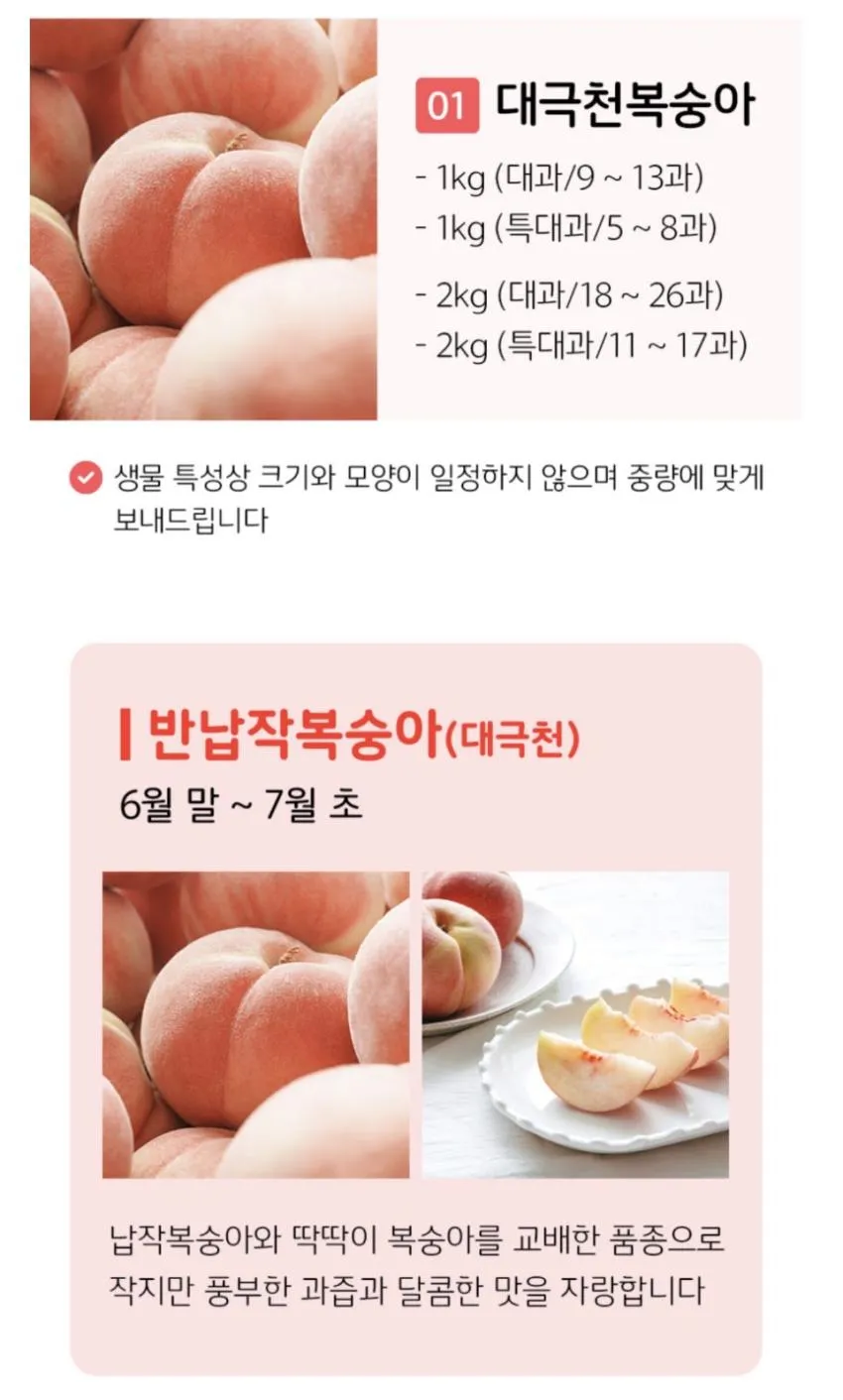 제철 대극천 복숭아 1KG 대과 9-13과