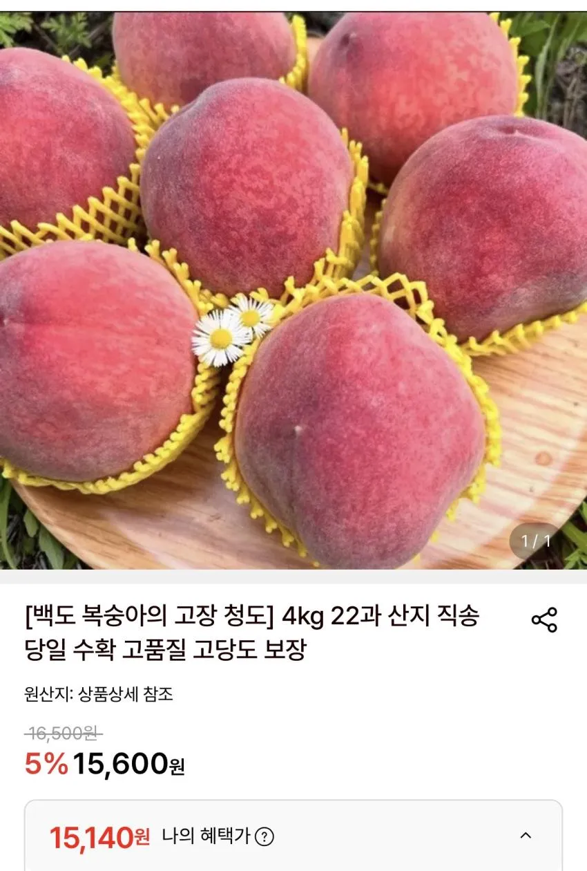 청도 백도 4kg 22과 산지 직송 당일 수확 고품질 고당도 보장