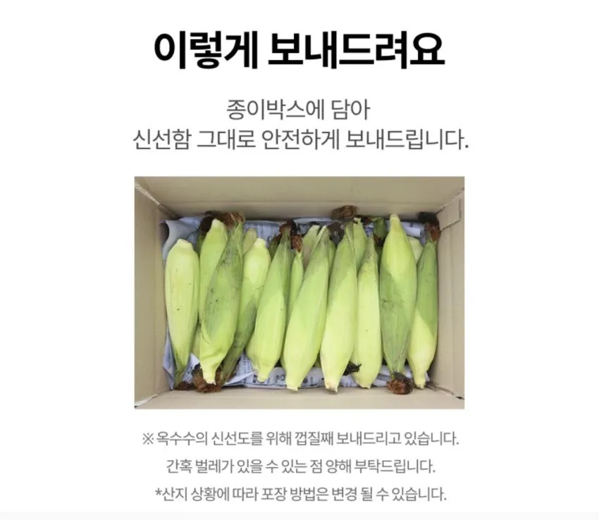 26년 햇 괴산 특품 미백찰옥수수 17cm이상 20개입