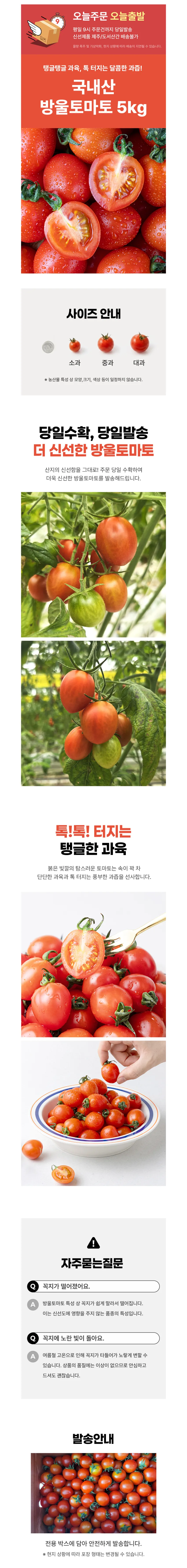 국내산 방울토마토 5kg 중과 9685원, 대과는 10685원 각각 무배