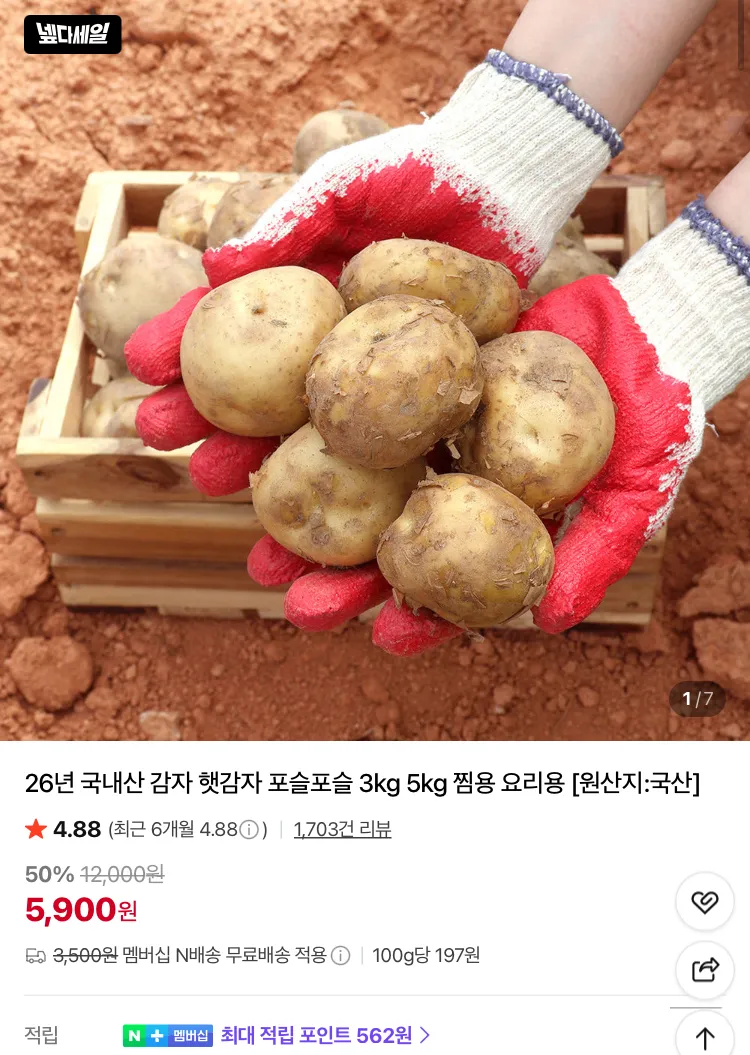 26년 국내산 햇감자 왕특 사이즈 3kg