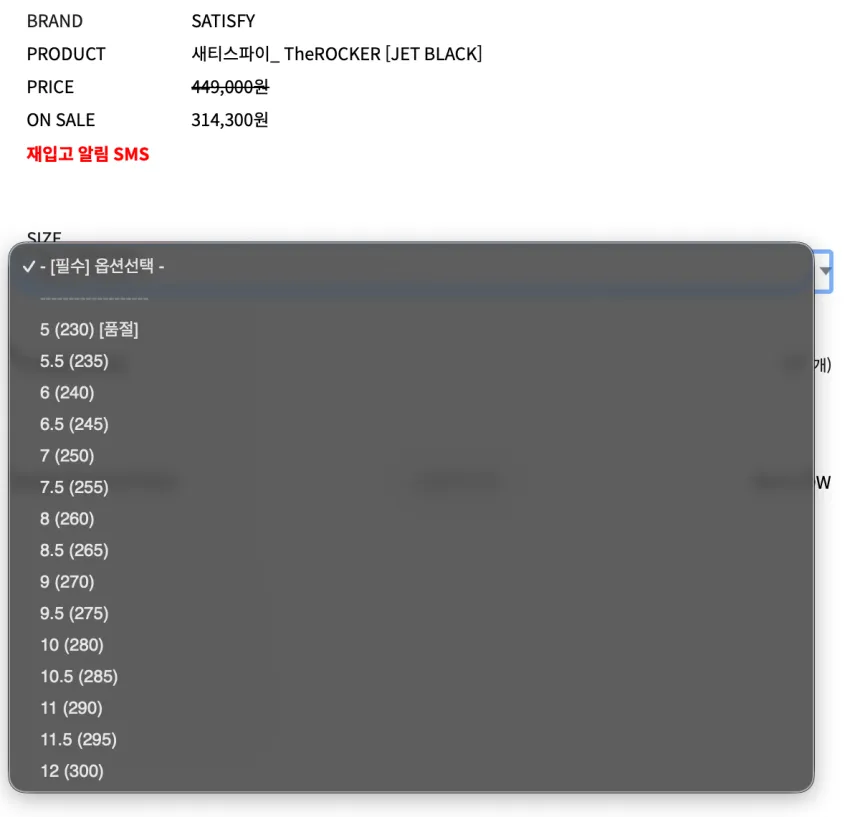 새티스파이_ TheROCKER