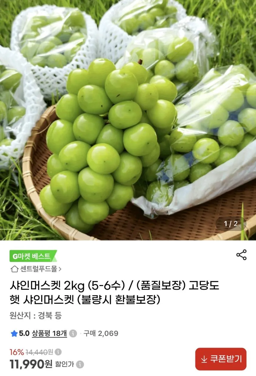 샤인머스켓 2kg (5-6수)