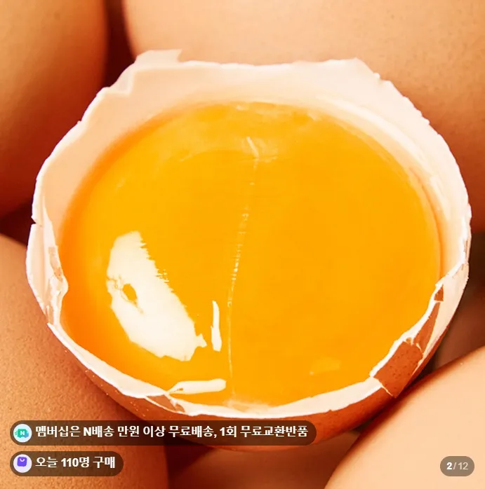 난각번호1번 유정란