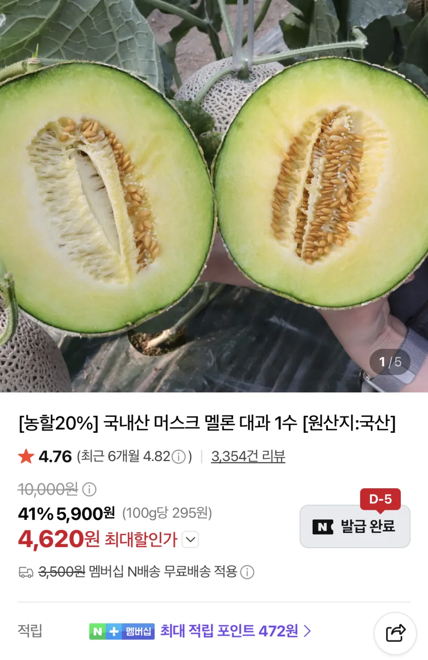 세지 머스크 멜론 대과 1수