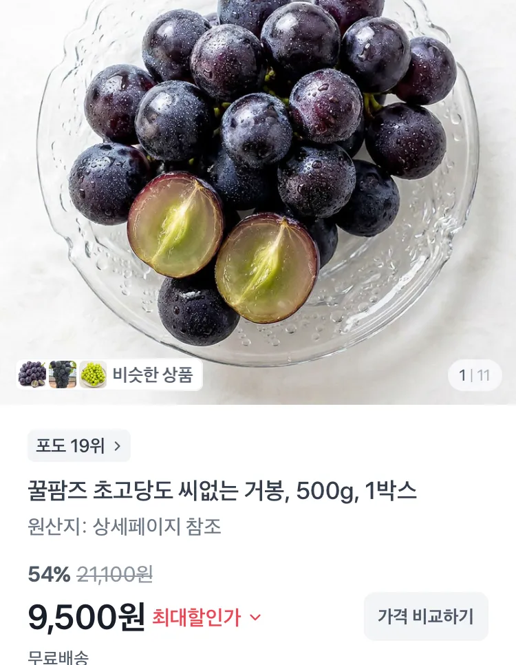 초고당도 씨없는 거봉 1kg