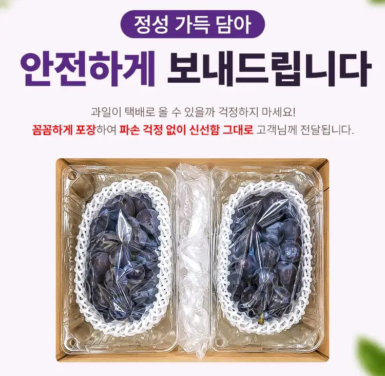 초고당도 씨없는 거봉 1kg