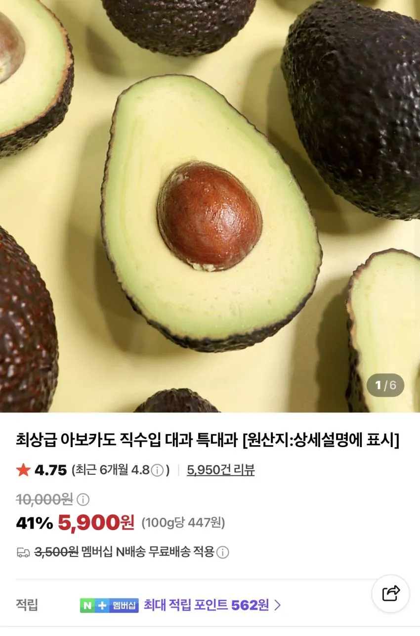 최상급 아보카도 직수입 특대과 6과