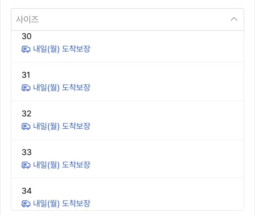 추천) 무탠다드 백 사틴 쇼츠