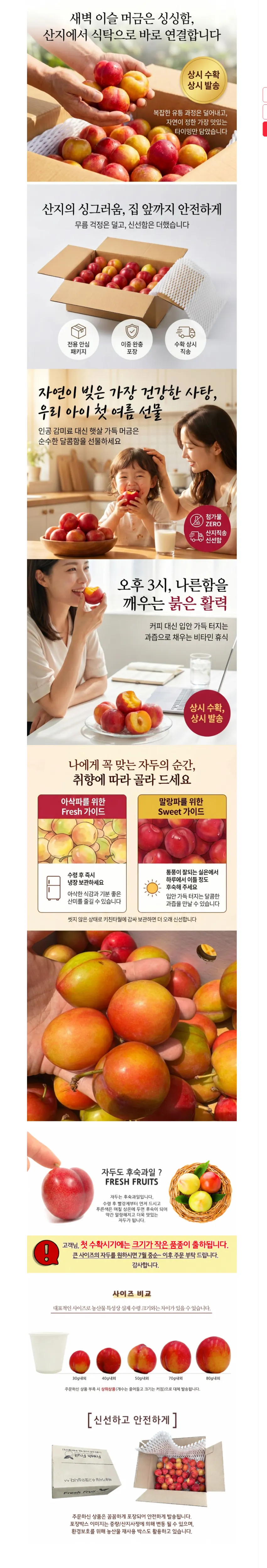 경북 노지 자두 중과 2kg 7920원 무배