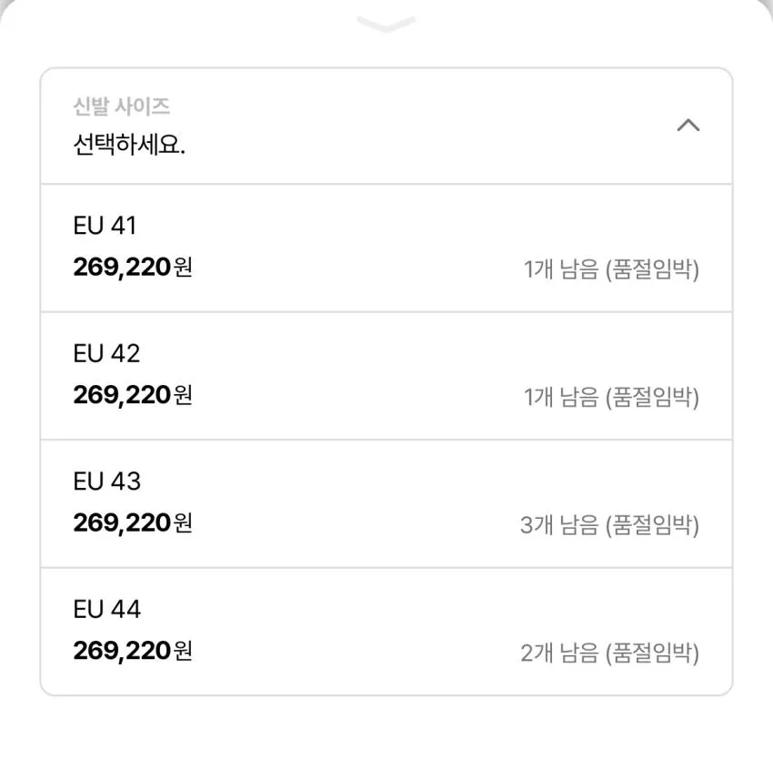 아워레가시 블런트 24발 토가 등등