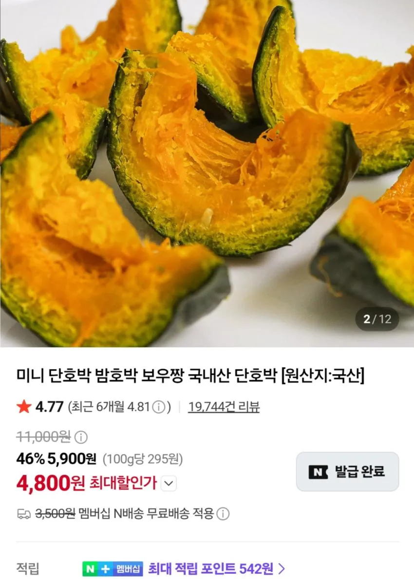 미니 밤호박 5kg