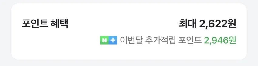 나이키 러닝벨트 무료반품 체감가 2.5만원