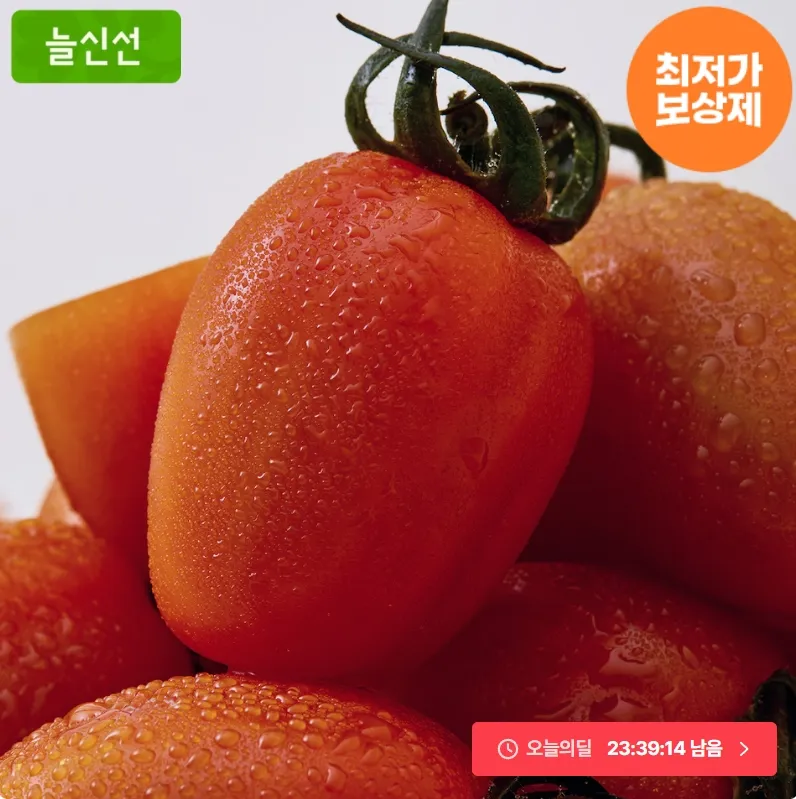 스테비아 토망고 500g 4팩 (2kg)