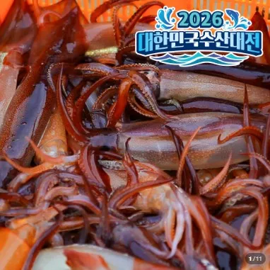 국산 급냉 통오징어 1kg 통찜용