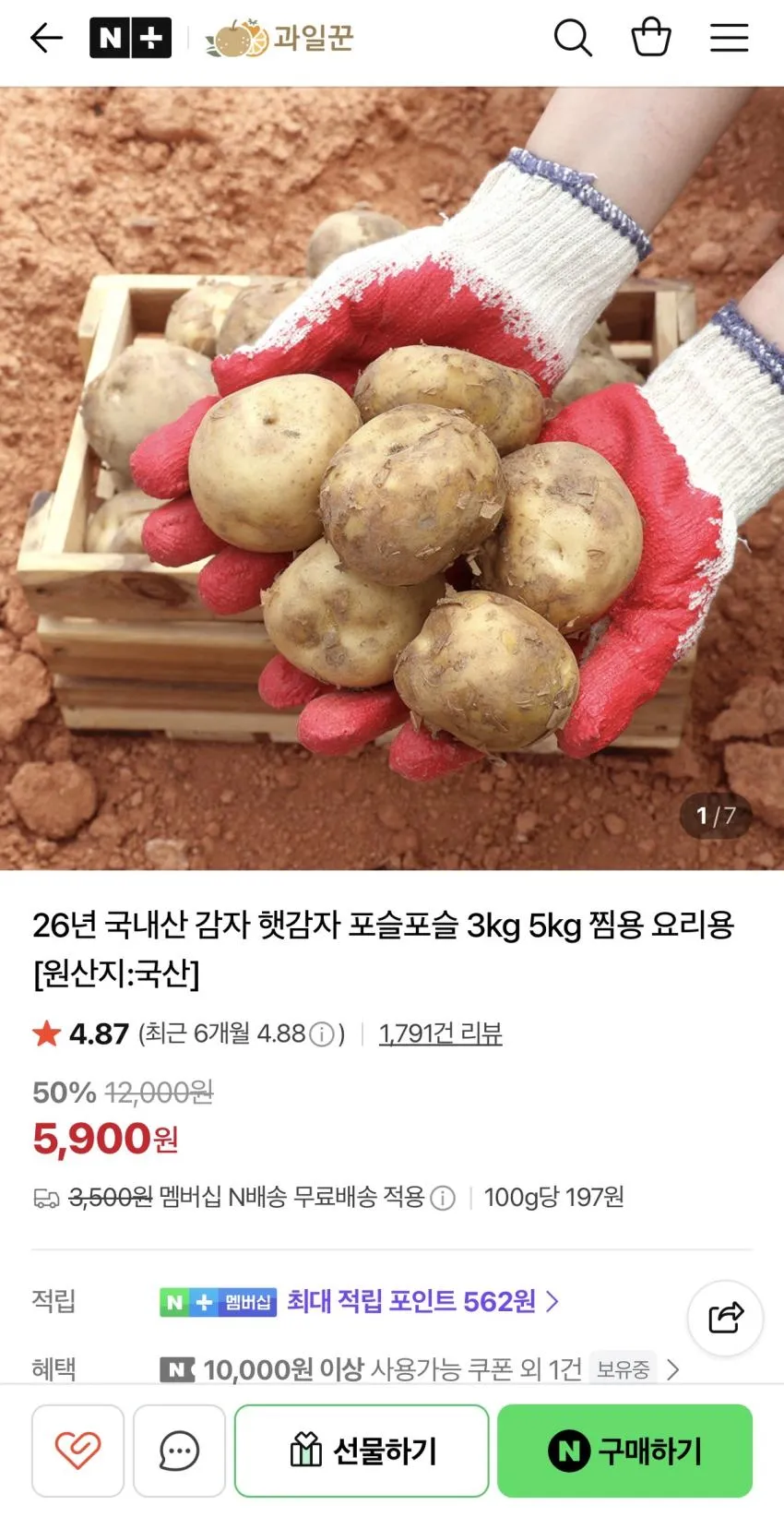 국내산 햇감자 3KG