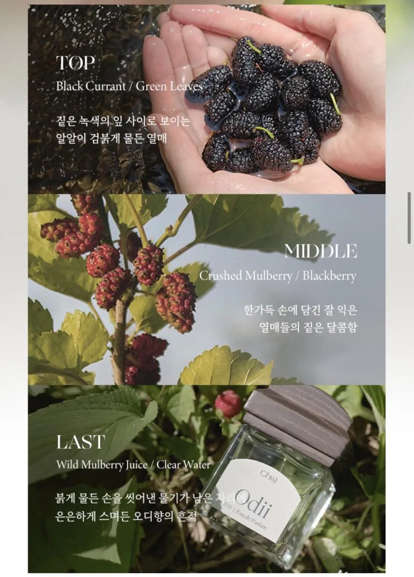 취/오드퍼퓸 오디 50ml