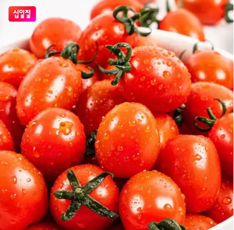 스테비아 방울 토마토 일반 500g 4팩 총 2KG