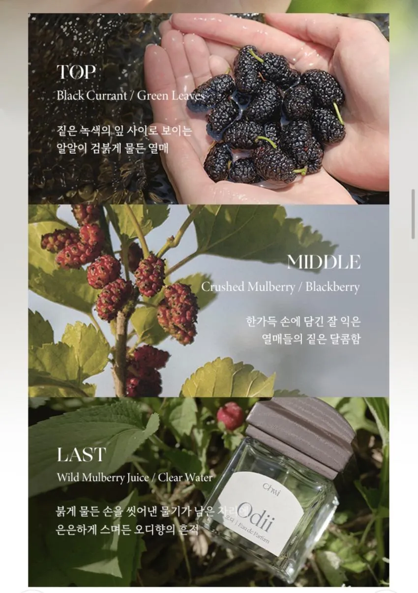 재입고)취 오드퍼퓸 오디 50ml