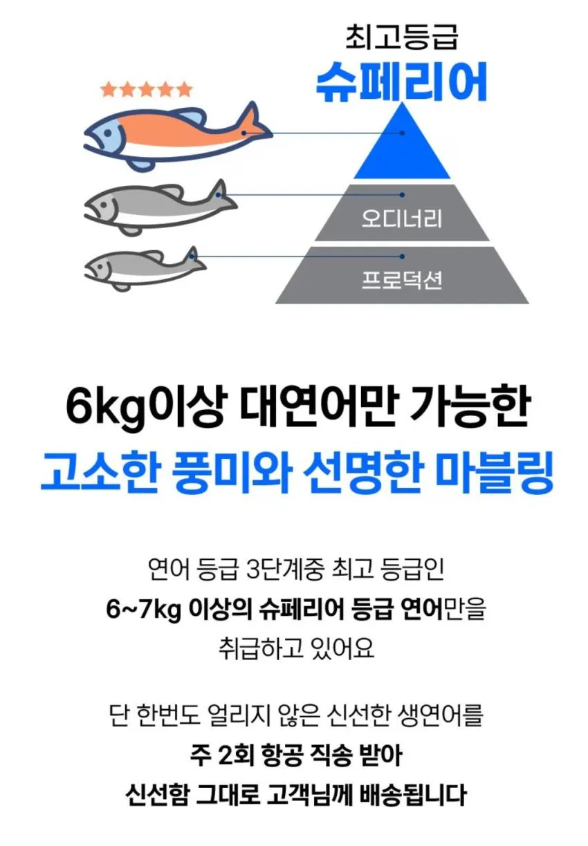 노르웨이 슈페리어급 딥스킨 생연어 1kg