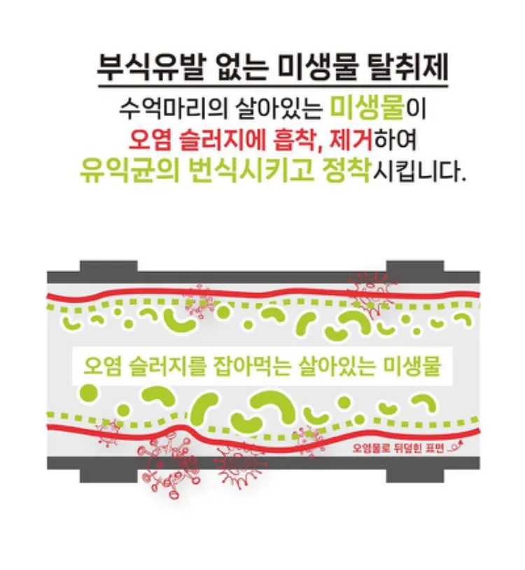 스페시핏 미생물 배수구 냄새 제거제 1L