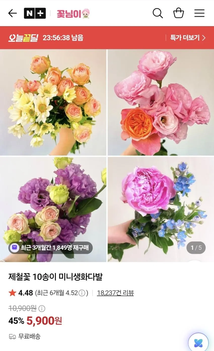 제철꽃 10송이 미니생화다발,