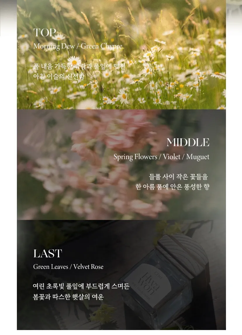 취 오드퍼퓸 50ml(대나무,화원)