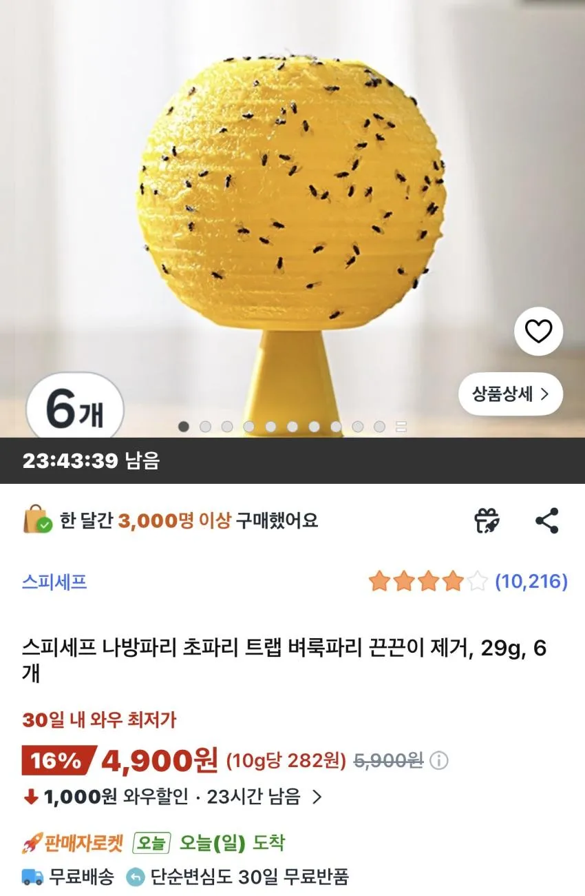 초파리 트랩 벼룩파리 끈끈이 29g 6개