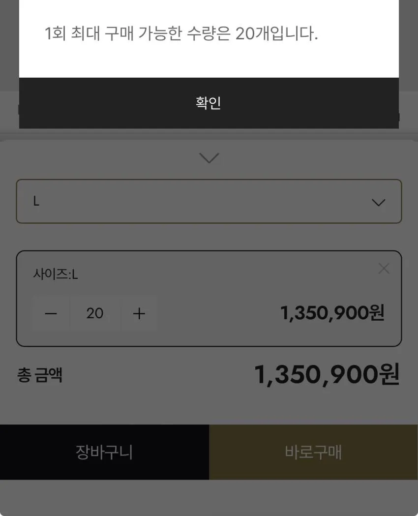노스페이스 고어텍스 이어머프