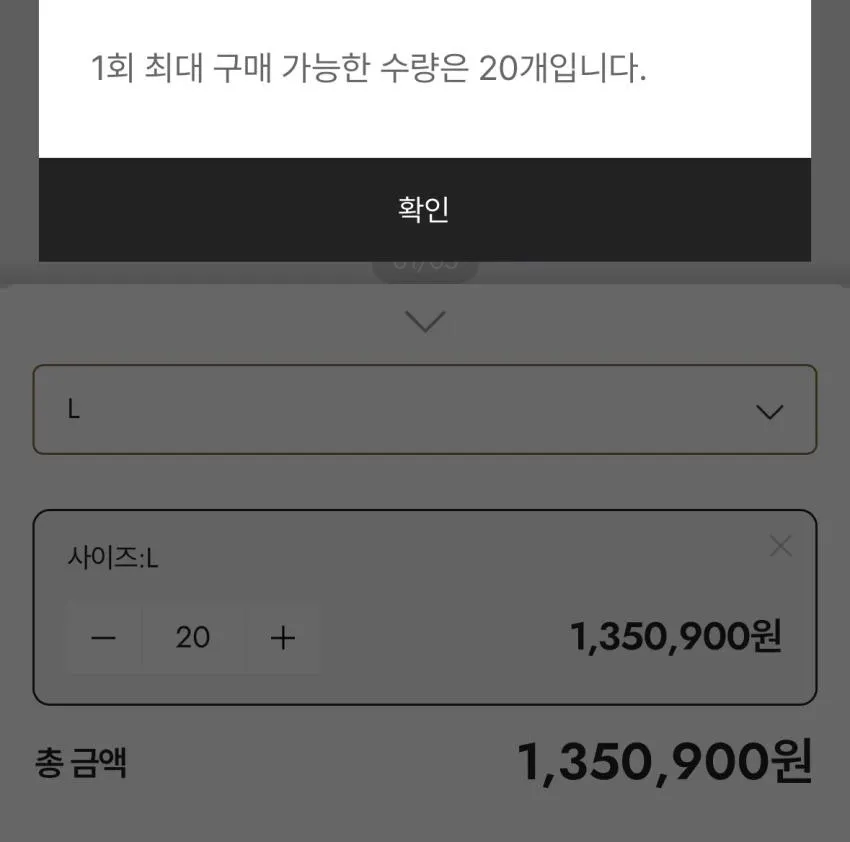 노스페이스 고어텍스 이어머프 캡 5.7발 리스탁