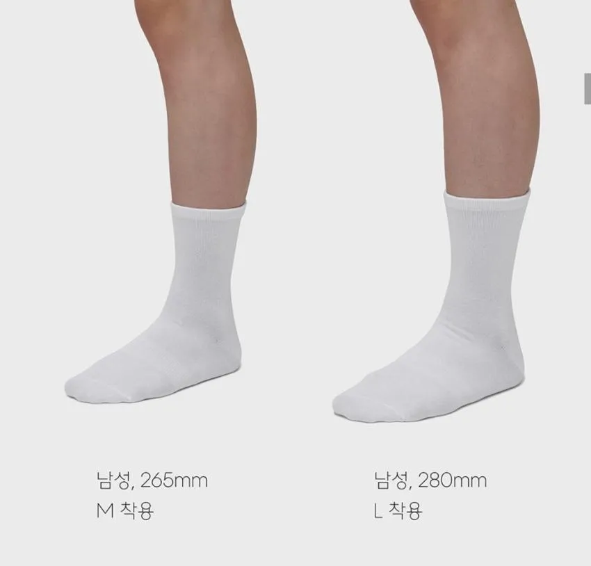 무탠다드 크루 삭스 7팩 6천원