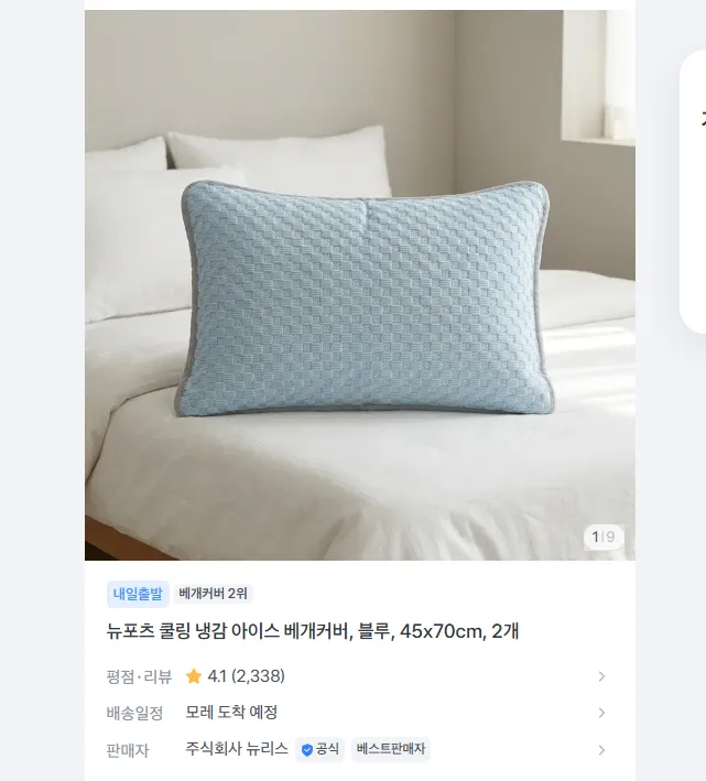 냉감 베개커버 블루 45 x 70cm, 2개 5200원 무배