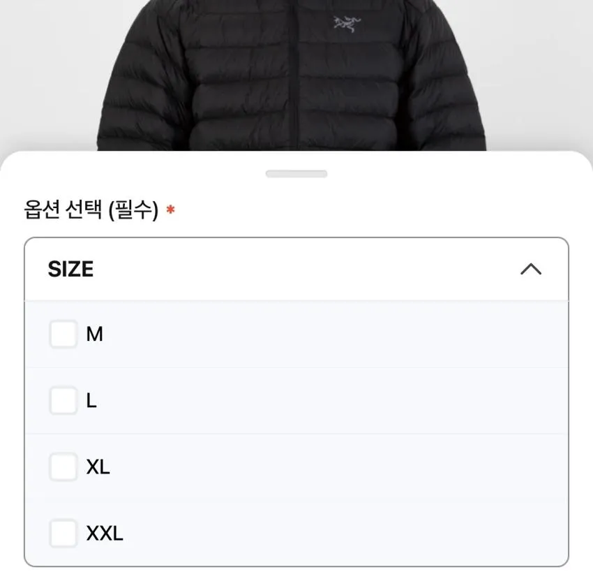 아크테릭스 세륨 후디 블랙