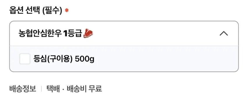 농협안심한우 1등급 냉장 한우 등심 500g