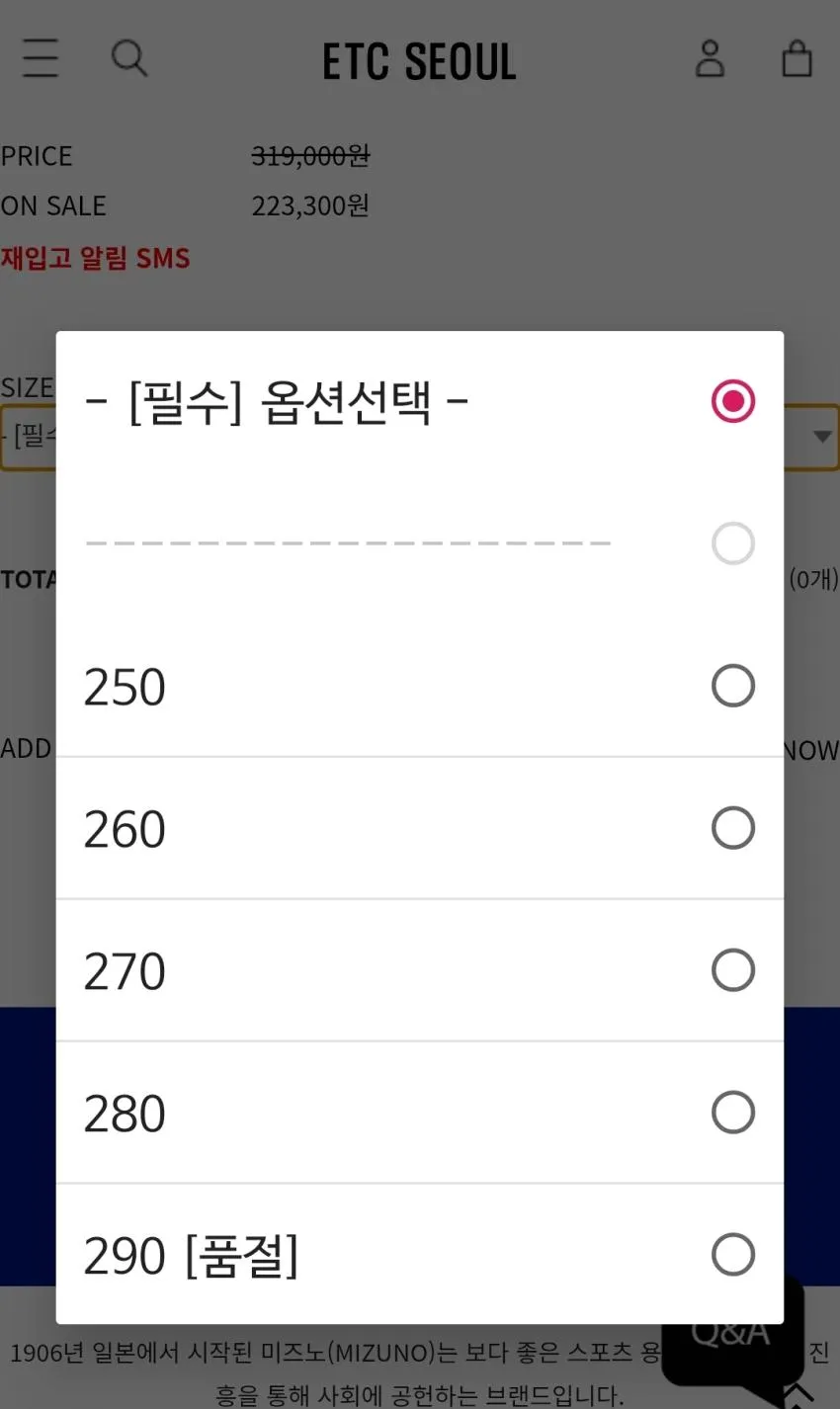 미즈노 웨이브 무진 GTX