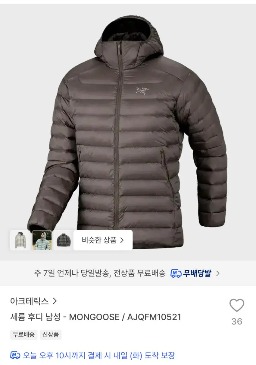 아크테릭스 세륨 후디 64.9