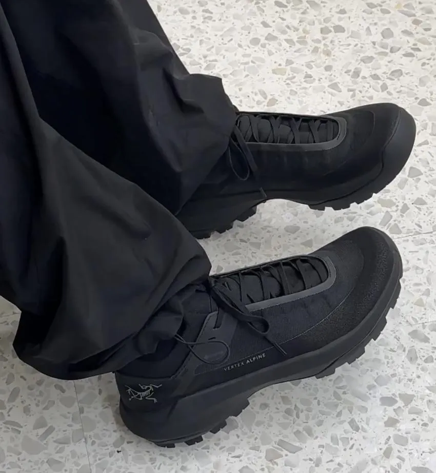 아크테릭스 버텍스 알파인 GTX $174.93