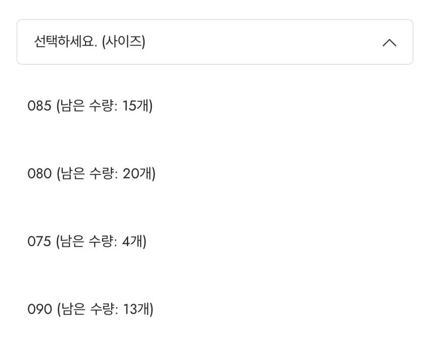 나이키 우븐 플로우 쇼츠 2.7발대