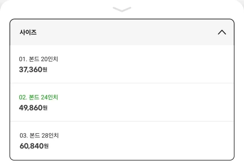 브라이튼 본드 캐리어 20/24/28인치 할인