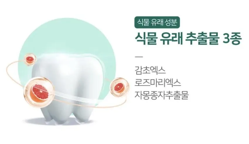 살림백서 덴탈케어 구강 스프레이 14ml 3개 7900원 무배