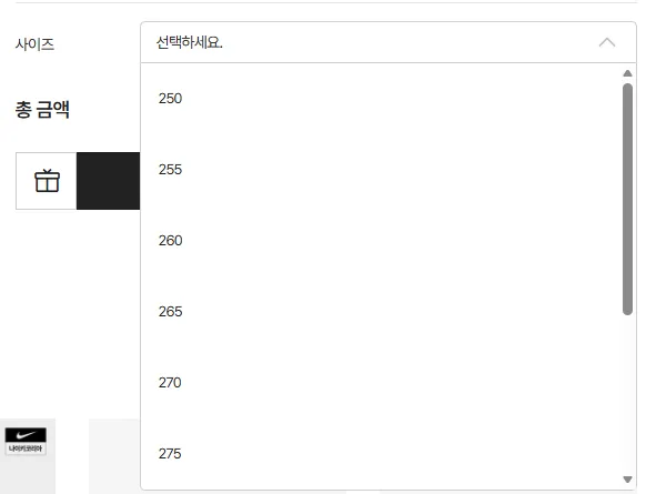 나이키 이니시에이터